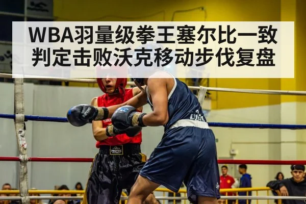 boxing match action - jiuyou game