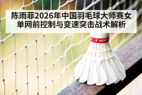 badminton net shot close up - jiuyou game